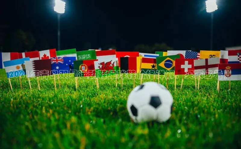 门徒登录入口百度游戏2021年青岛双星运动鞋足球鞋价格详解，买家必看！