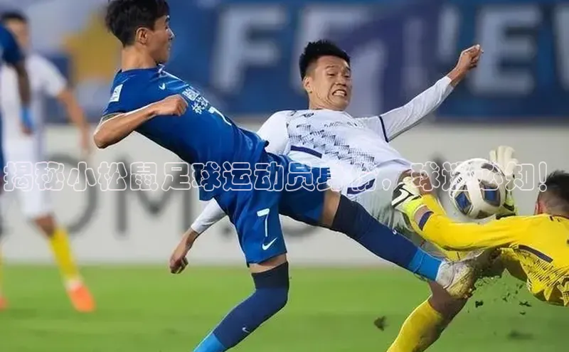 门徒娱乐江铃新能源揭秘小松鼠足球运动员身份，球迷必知！