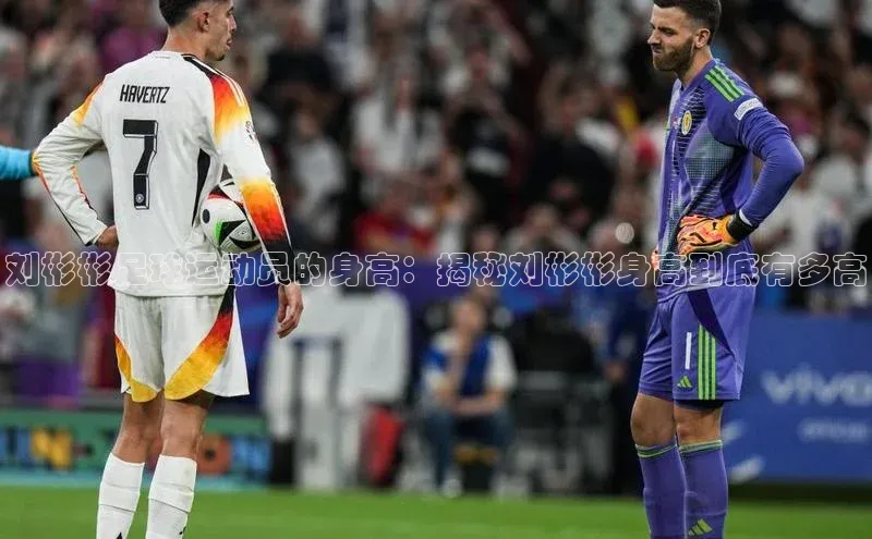 门徒娱乐诸葛科技刘彬彬足球运动员的身高：揭秘刘彬彬身高到底有多高