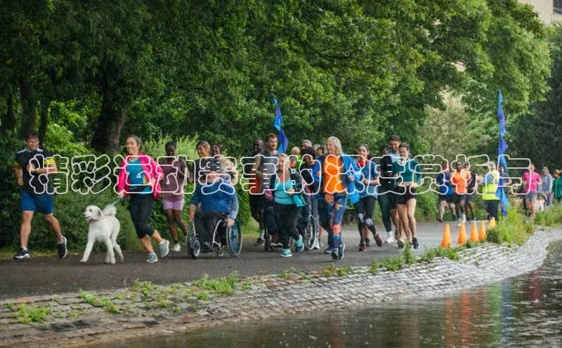 精彩运动赛事的深度赏析与