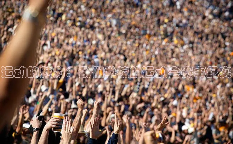 运动的魅力：我们学校的运动会赛事纪实