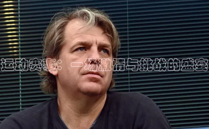运动赛事：一场激情与挑战的盛宴