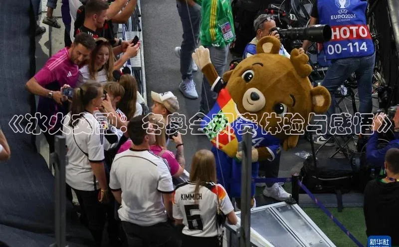 《冰火交融：冬奥会观赛体验与感悟》