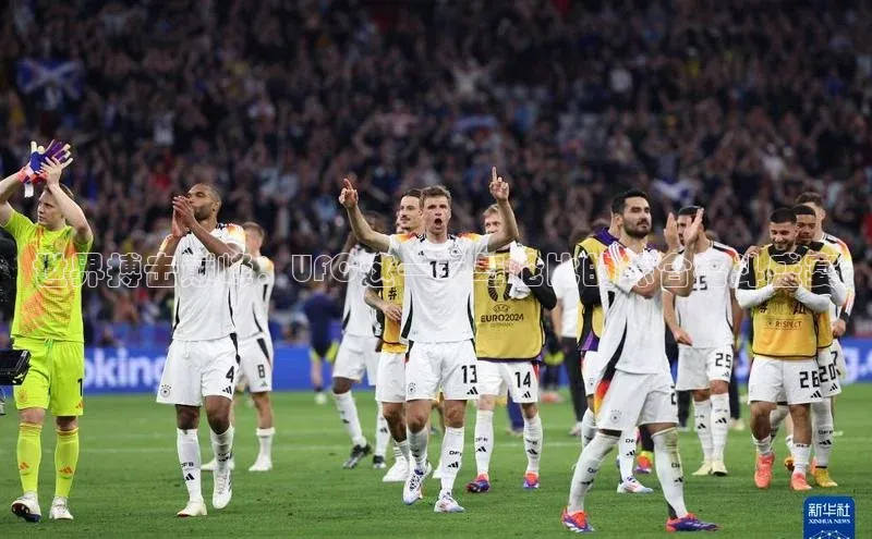 世界搏击巅峰：UFC这一无与伦比的综合格斗盛宴