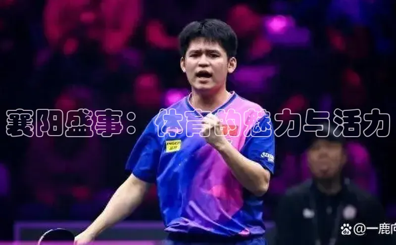 襄阳盛事：体育的魅力与活力