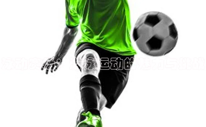 泳动赛场：游泳运动的魅力与挑战