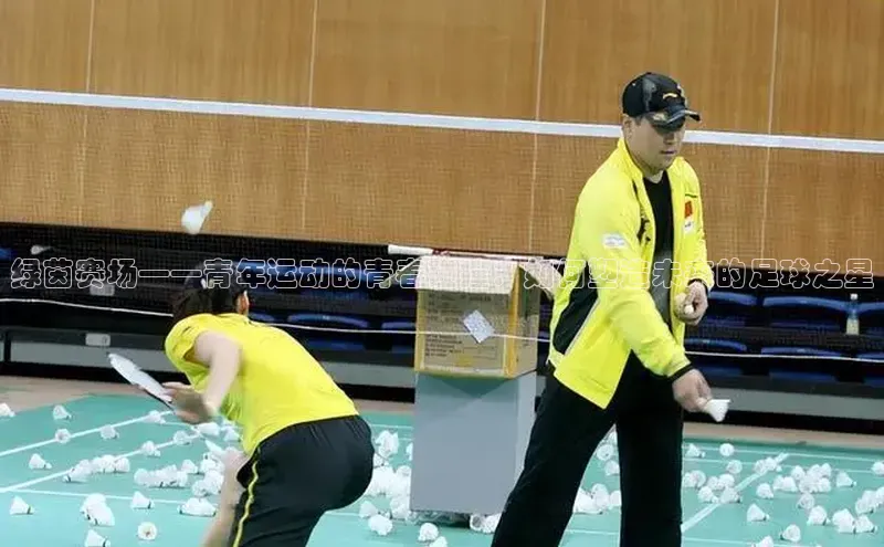 绿茵赛场——青年运动的青春碰撞：如何塑造未来的足球之星