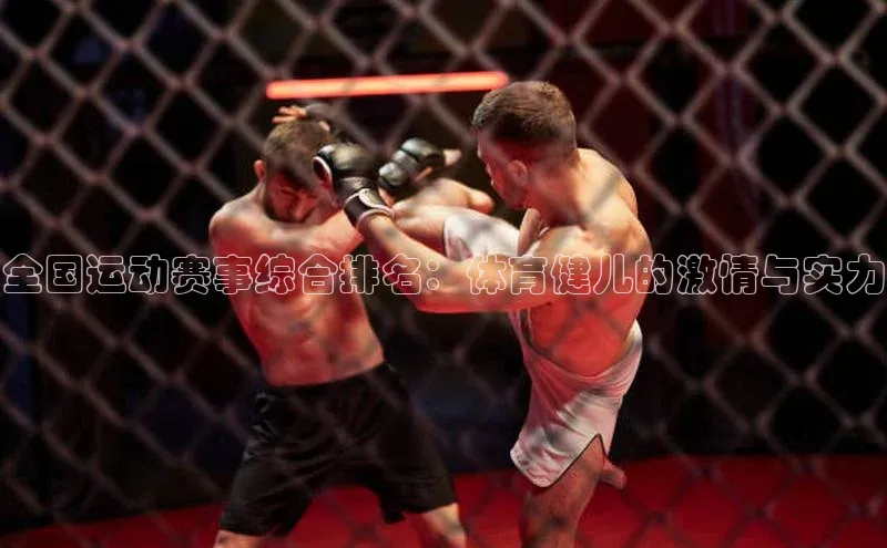 全国运动赛事综合排名：体育健儿的激情与实力