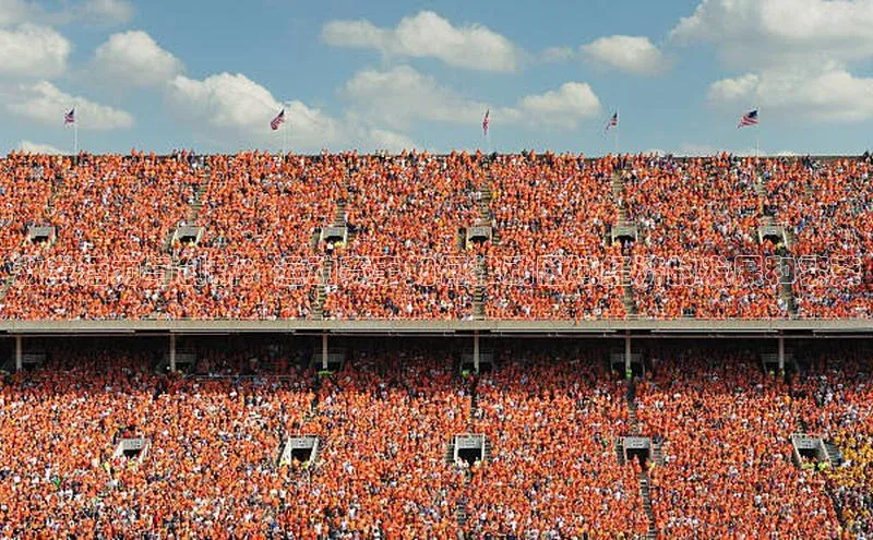 激发活力与创新：运动赛事如何推动区域经济的发展和繁荣