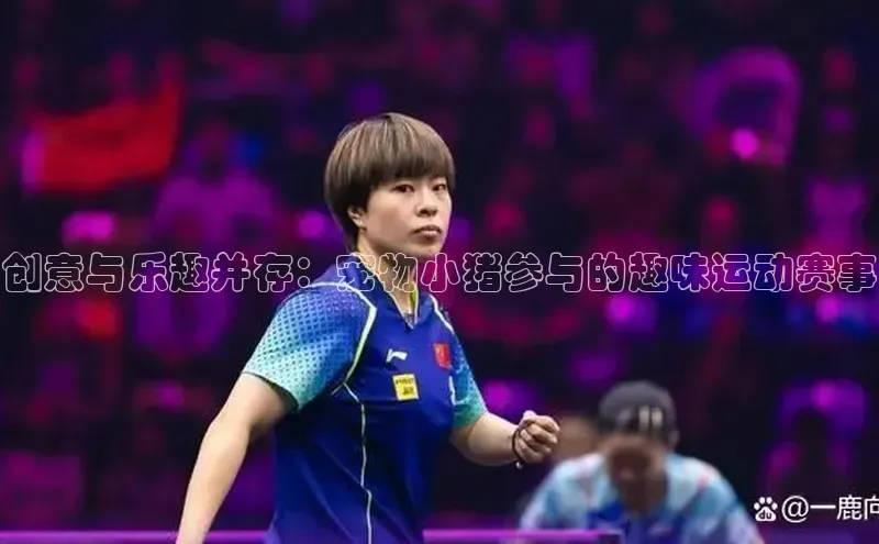 创意与乐趣并存：宠物小猪参与的趣味运动赛事