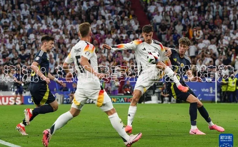 潮流：运动赛事插画素材精选