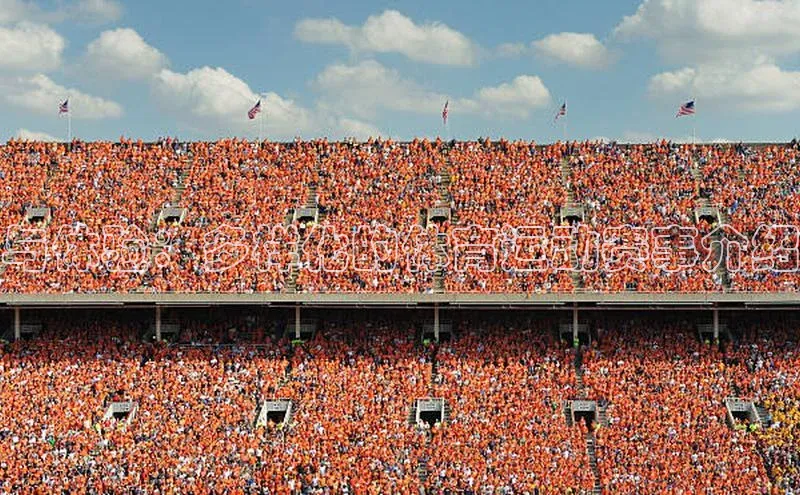 与体验：多样化的体育运动赛事介绍