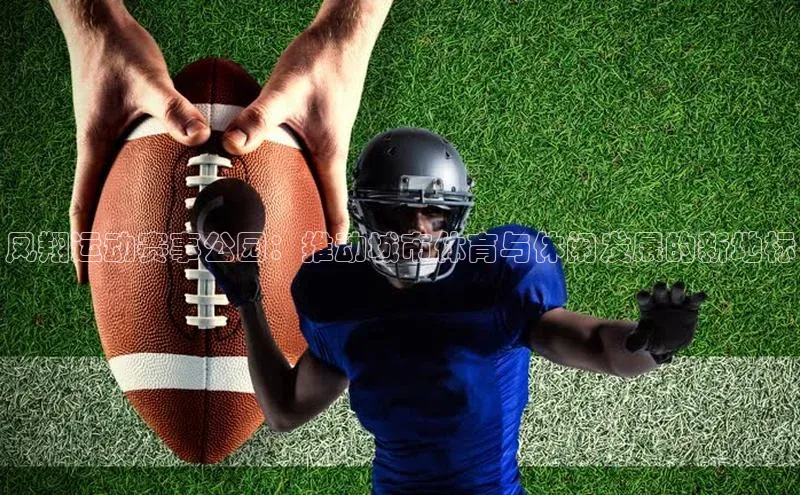 凤翔运动赛事公园：推动城市体育与休闲发展的新地标