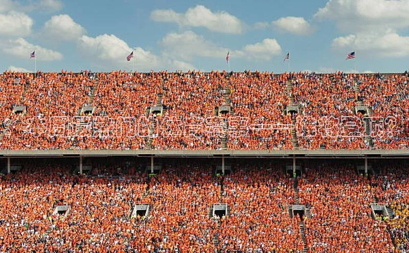 ：本周最热门的体育赛事——谁将登顶？