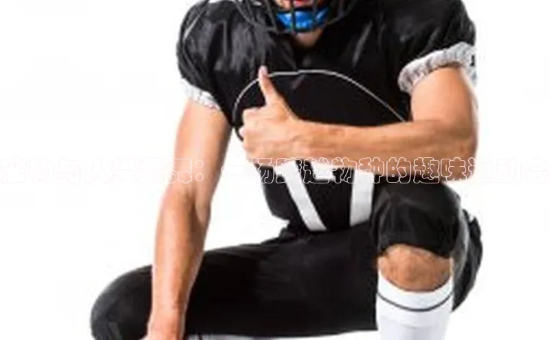 宠物与人类共舞：一场跨越物种的趣味运动会