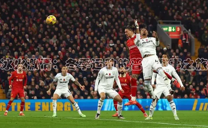 冰火激情：冬季运动的普及赛事之旅