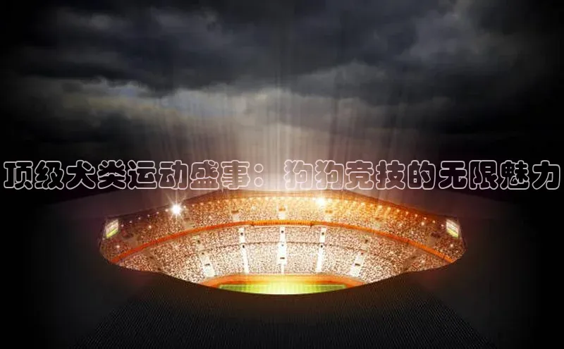 顶级犬类运动盛事：狗狗竞技的无限魅力