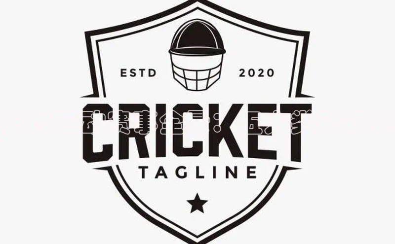 安康运动赛事全景：五大类别竞赛