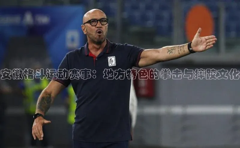 安徽格斗运动赛事：地方特色的拳击与摔跤文化